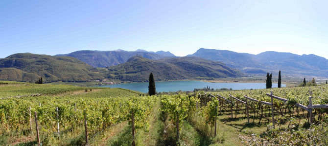 Kalterer See mit Weinbergen