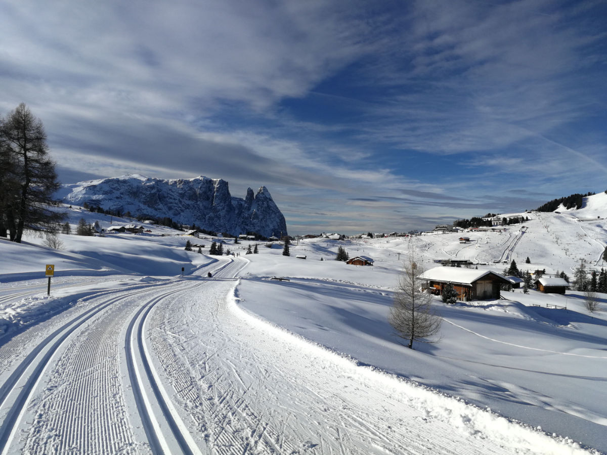 Blick auf den Schlern von der Loipe aus
